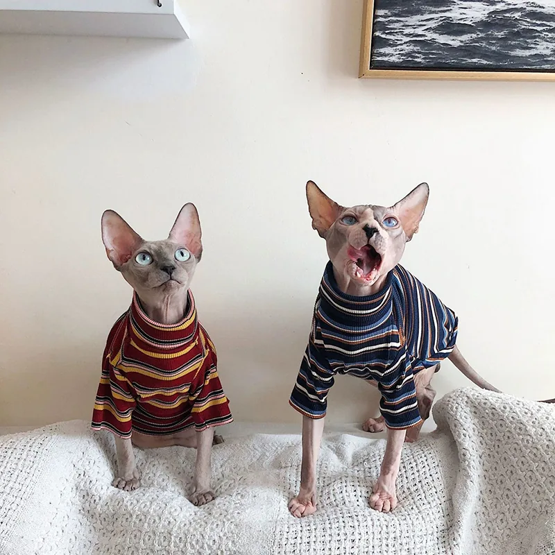Wholesale Pet Clothing — production reference 10 | Entrol OEM/ODM