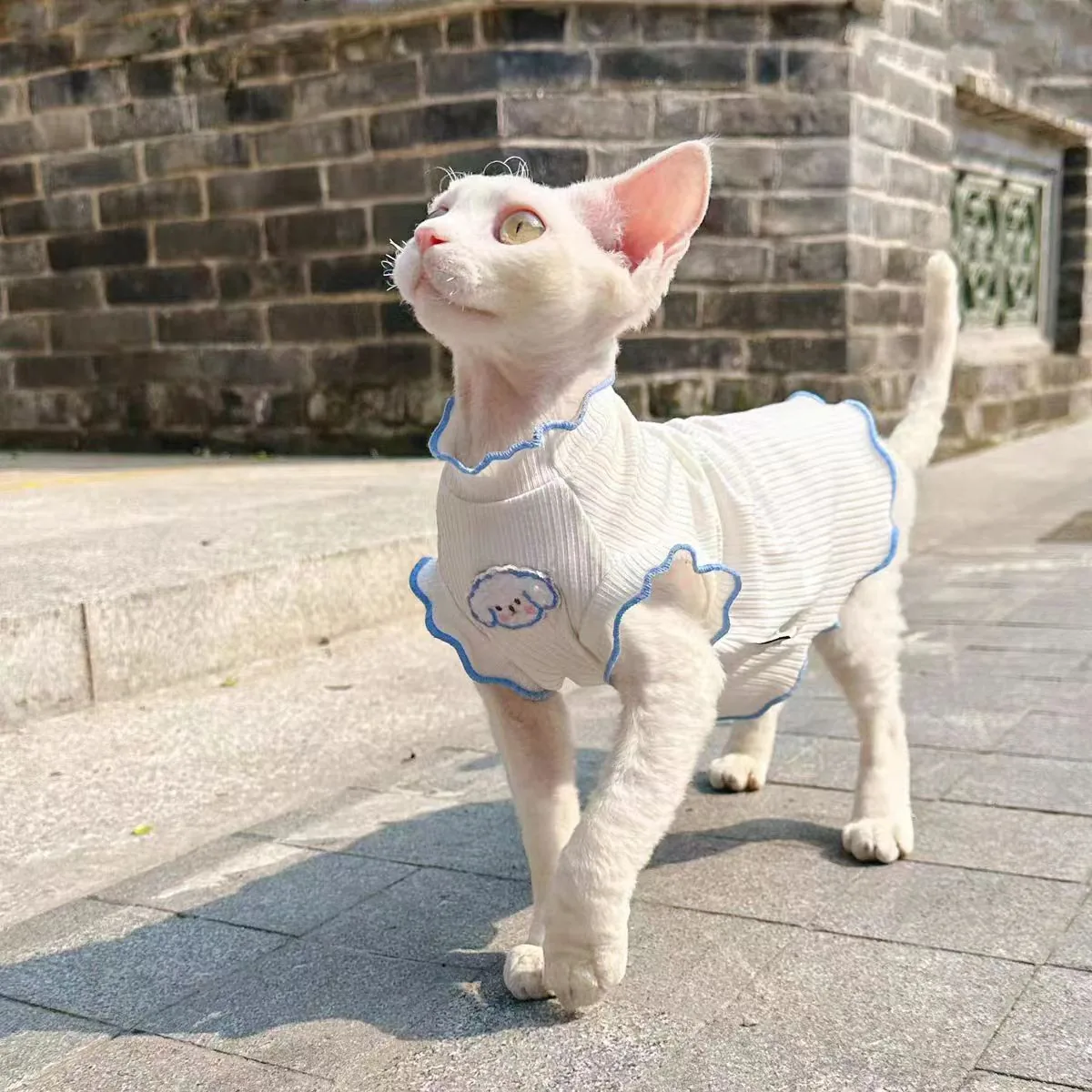 Wholesale Pet Clothing — production reference 7 | Entrol OEM/ODM