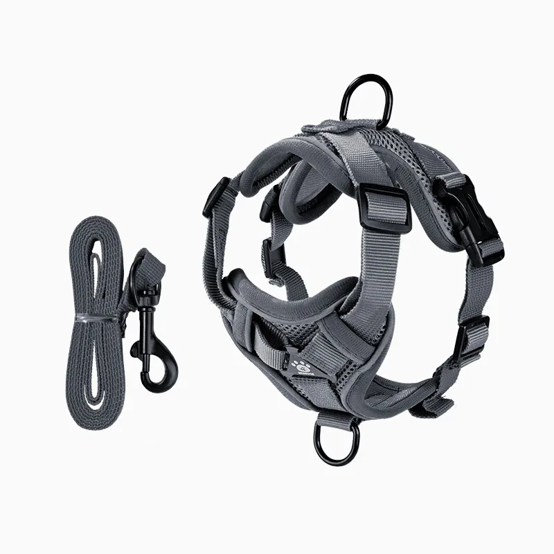 Wholesale Pet Leashes and Collars — production reference 13 | Entrol OEM/ODM