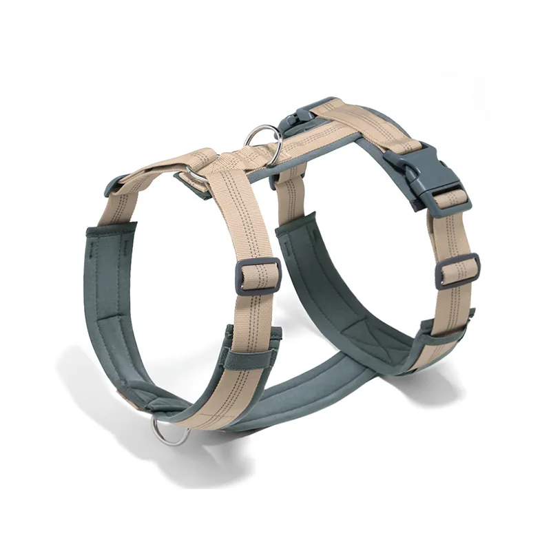 Wholesale Pet Leashes and Collars — production reference 14 | Entrol OEM/ODM