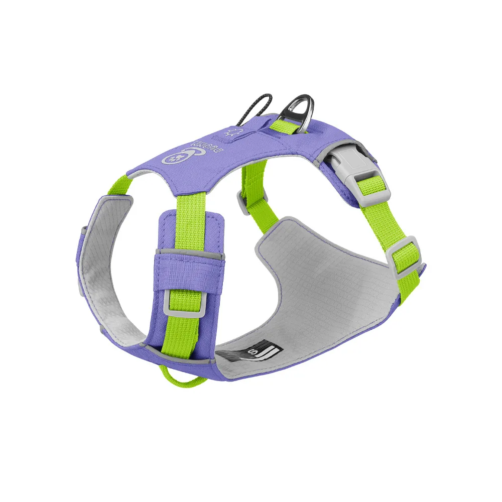 Wholesale Pet Leashes and Collars — production reference 3 | Entrol OEM/ODM