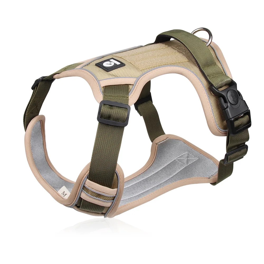 Wholesale Pet Leashes and Collars — production reference 4 | Entrol OEM/ODM