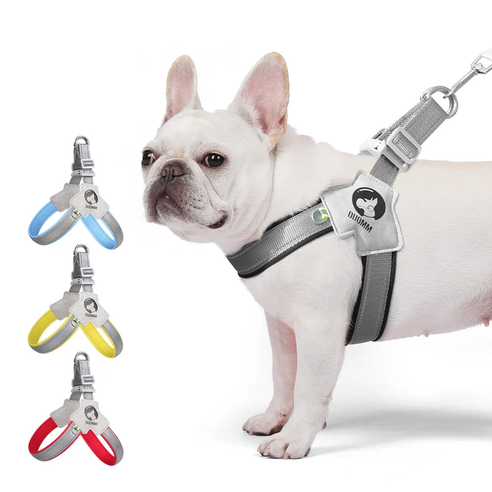 Wholesale Pet Leashes and Collars — production reference 5 | Entrol OEM/ODM