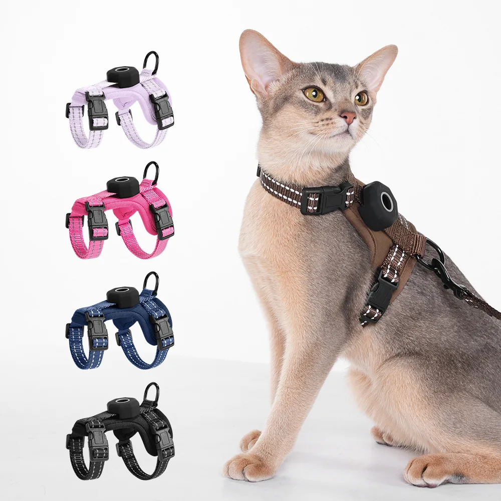 Wholesale Pet Leashes and Collars — production reference 6 | Entrol OEM/ODM