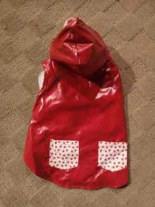 Wholesale Pet Raincoats — production reference 22 | Entrol OEM/ODM